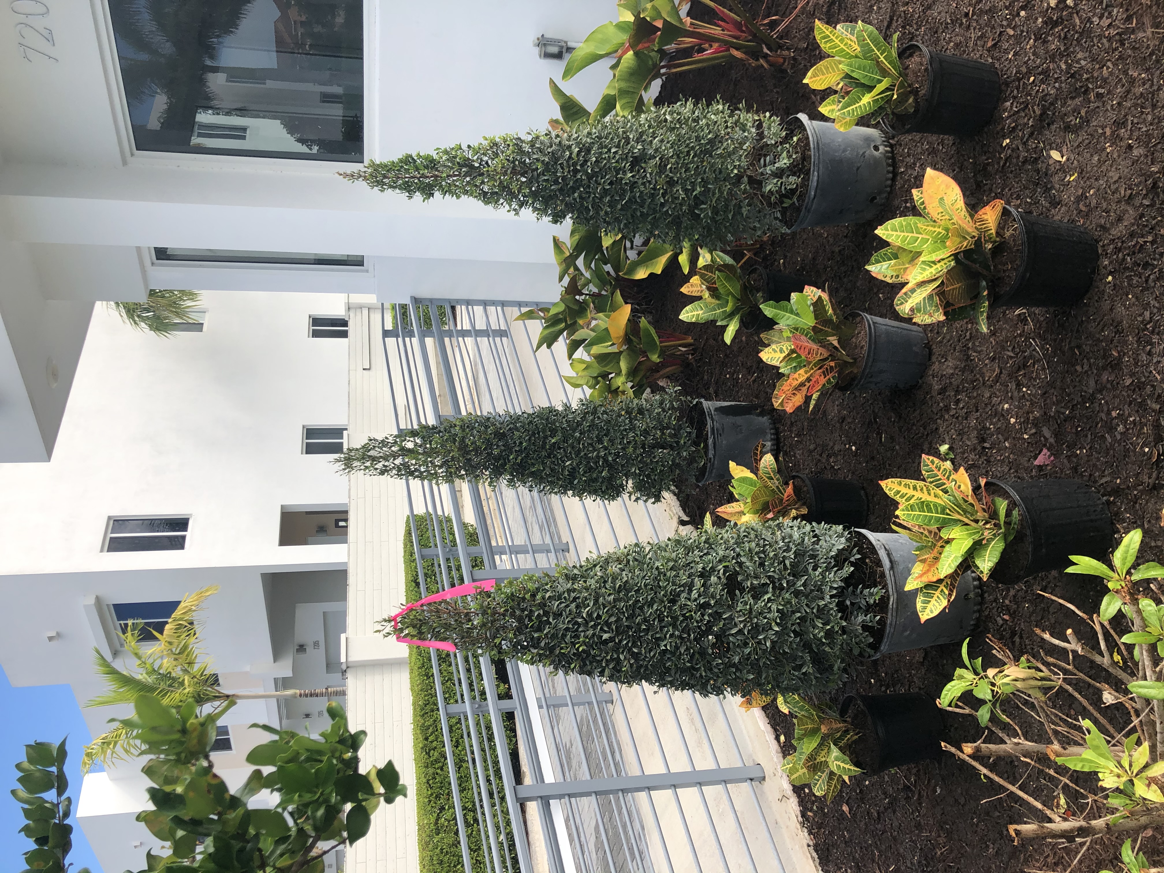 Garden Refresh